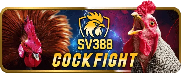 Hỗ trợ khách hàng vsbet60 về khuyến mãi